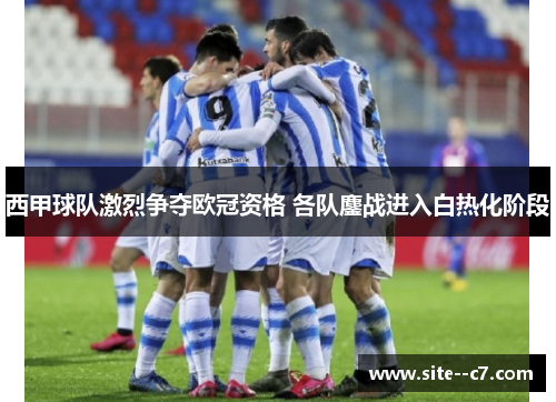 西甲球队激烈争夺欧冠资格 各队鏖战进入白热化阶段