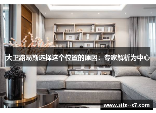 大卫路易斯选择这个位置的原因：专家解析为中心