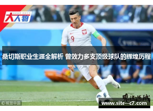 桑切斯职业生涯全解析 曾效力多支顶级球队的辉煌历程