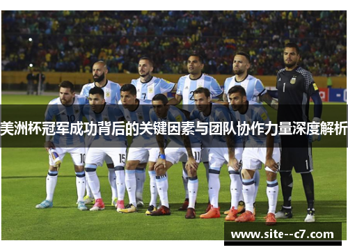 美洲杯冠军成功背后的关键因素与团队协作力量深度解析