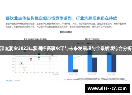 深度洞察2023年澳洲杯赛事水平与未来发展趋势全景解读综合分析