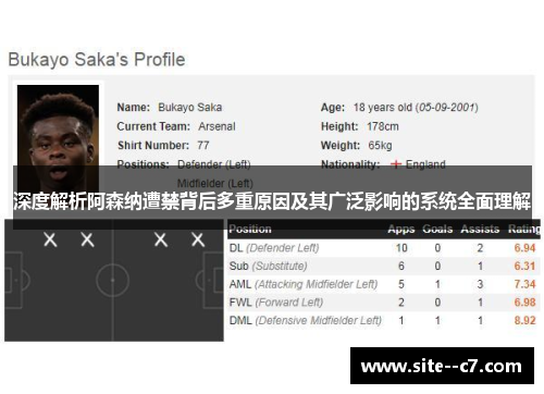 深度解析阿森纳遭禁背后多重原因及其广泛影响的系统全面理解