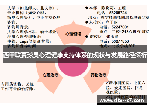 西甲联赛球员心理健康支持体系的现状与发展路径探析