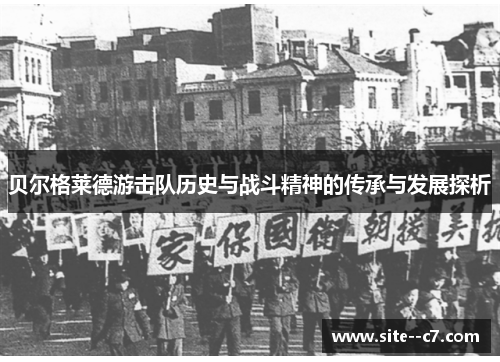 贝尔格莱德游击队历史与战斗精神的传承与发展探析