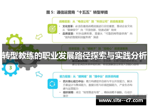 转型教练的职业发展路径探索与实践分析