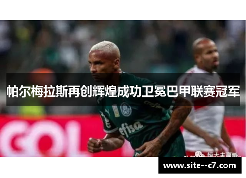 帕尔梅拉斯再创辉煌成功卫冕巴甲联赛冠军