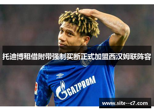 托迪博租借附带强制买断正式加盟西汉姆联阵容 托迪博租借附带强制买断正式加盟西汉姆联阵容