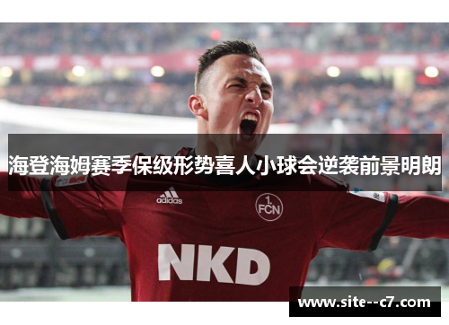 海登海姆赛季保级形势喜人小球会逆袭前景明朗